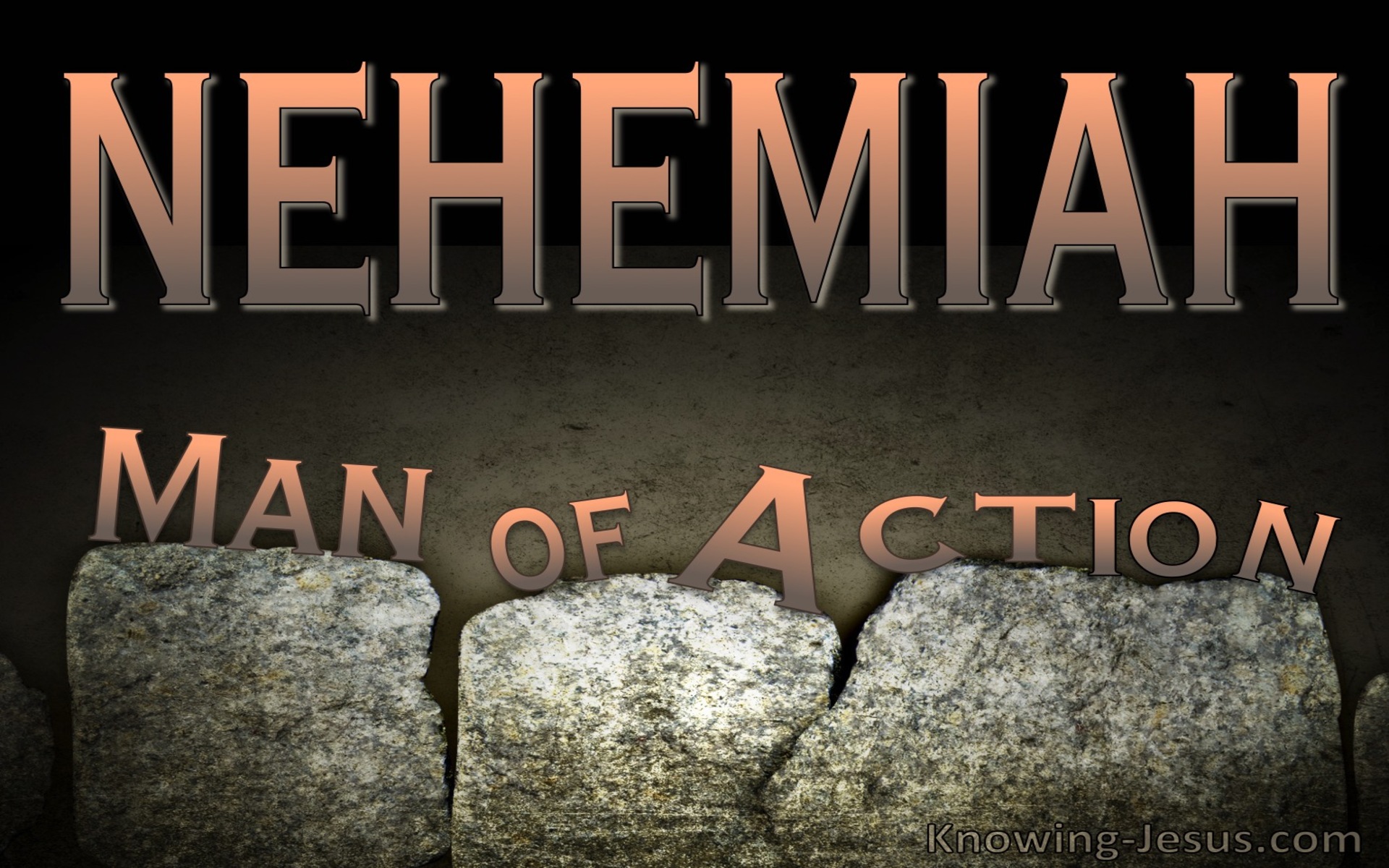 Nehemiah Man of Action (devotional) (brown)